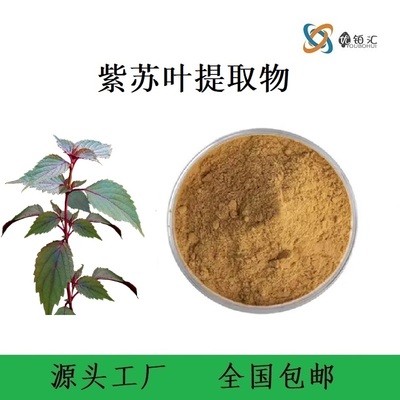 紫蘇葉提取物生產廠家